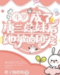 斗罗:成了唐三妹妹后她被迫团宠免费阅无广告