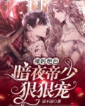 辣妈绝色暗夜帝少狠狠宠