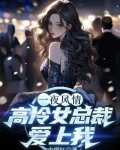 一夜风情,高冷女总裁爱上我