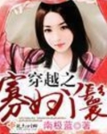 穿越之寡妇丫鬟