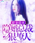 娇妻似火：隐婚总裁狠撩人！
