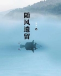 随风下一句是什么