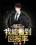 赌石我能看到回报率在线收听