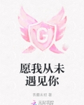 从未想过遇见你