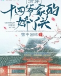 清穿十四爷家的娇丫头