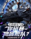 让你研究气象,你磁暴鹰酱舰队7