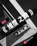 维度之间