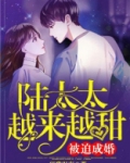 被迫成婚:陆太太越来越甜