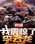 亮剑之我是李云龙