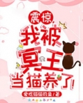 我被冥王阿茶绑架了