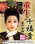 重生之十福晋TXT下载