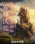 霍格沃茨:我真是模范巫师