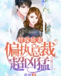 替嫁娇妻:偏执总裁超凶猛