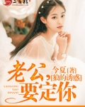 狼的诱惑:老公,要定你!