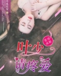 惹债成婚：叶少请疼爱