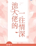 池大佬的一往情深免费阅读