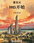 重生从1993开始小说