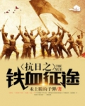抗日之铁血征途小说