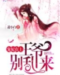 宠妃在上:王爷,别乱来!