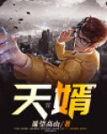 天婿归来视频播放