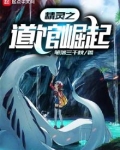 精灵之道馆崛起百度网盘下载