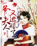 爷，夫人又逃婚了