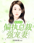 新婚密爱:偏执总裁强宠妻