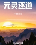 元灵是什么