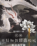 红楼:开局加载嫪毐模板