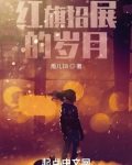 红旗招展的岁月