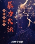 全职法师之暴力火法 作者:十放烟雨 更新时间