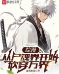 综漫:从尸魂界开始砍穿万界