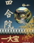 四合院一大宝儿妖僧是逆贼