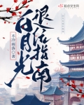 白月光套路指南[快穿]
