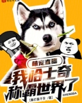 萌宠直播：我哈士奇称霸世界了？