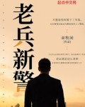 老兵新警txt百度网盘
