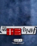 第十三个小时简介