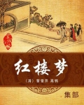 红楼梦