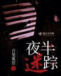 夜半迷宫
