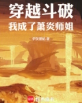 穿越斗破我成了萧炎师姐