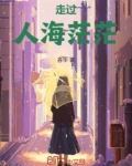 走过人海茫茫的街头这首歌名