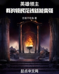 英雄领主 小说