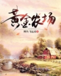 黄金农场 小说