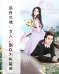 狼性总裁:女人,别来无恙!