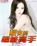 校花的超能高手TXT免费下载