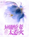 空间重生：异能娇妻太惹火
