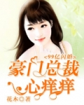 闪婚老公是豪门总裁司情