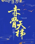 赤骨天梯小说