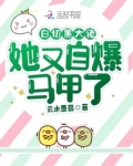 满级大佬又被拆马甲了