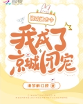 瓷碗 知乎